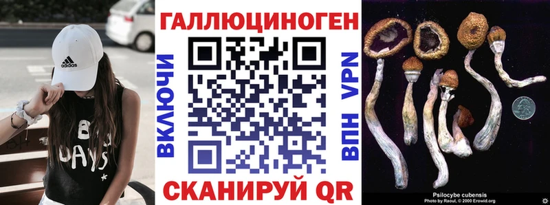 Псилоцибиновые грибы Psilocybe  Отрадное 